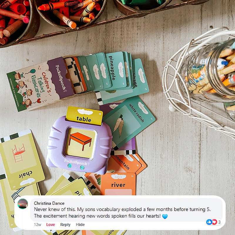 The Original - PocketSpeech